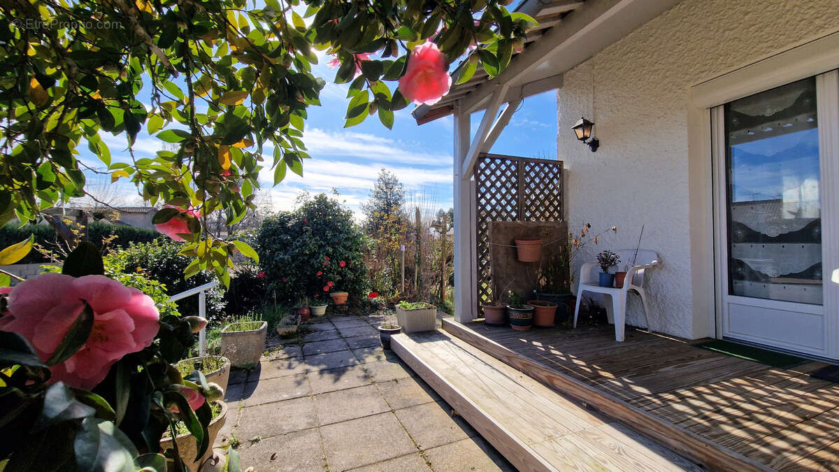 Maison à COULOMBIERS