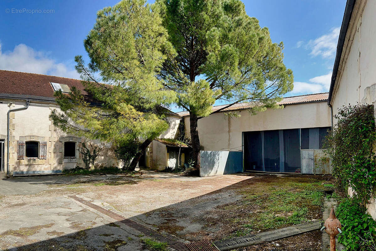 Appartement à SAINT-JEAN-D'ANGELY