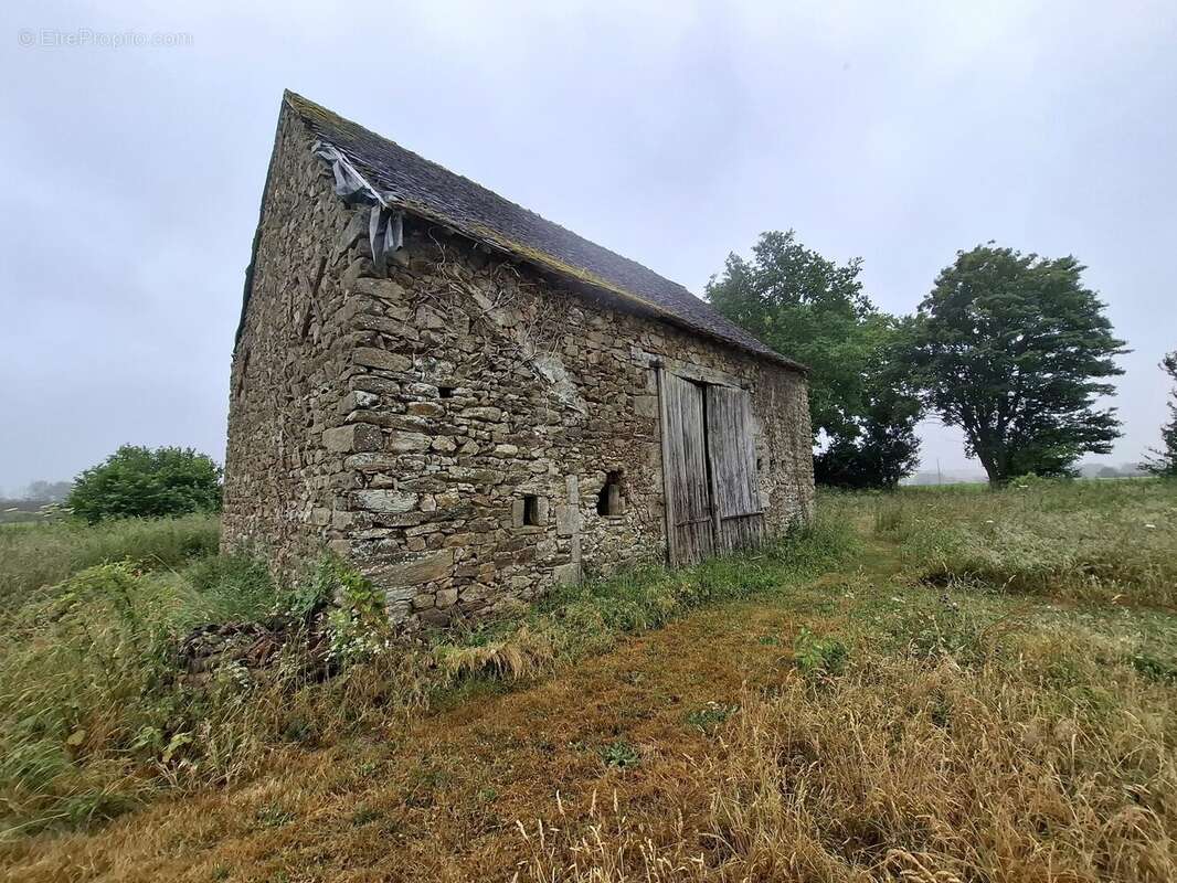 Terrain à ASSE-LE-BOISNE