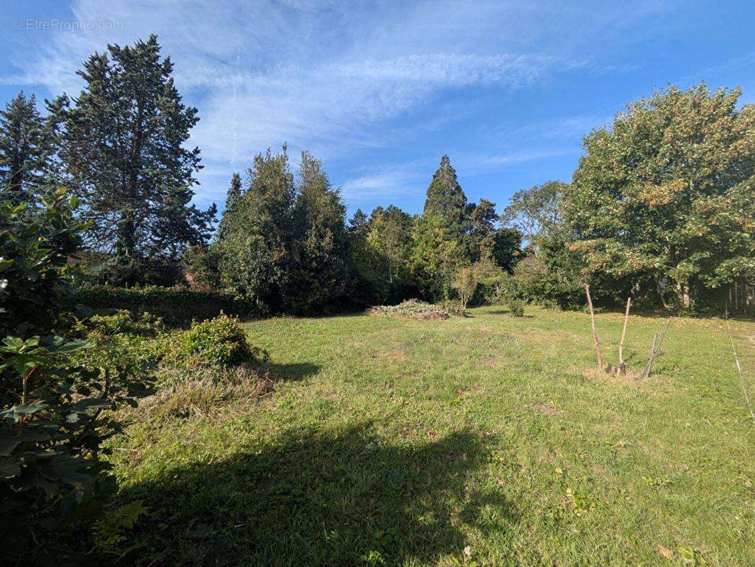 Terrain à JAMBVILLE