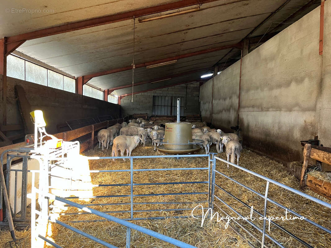 Ferme ovine de 39 HA avec fermages complémentaires possibles dans le LOT 46 OCCITANIE - photo 5