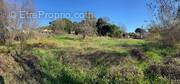 Terrain à CANNES