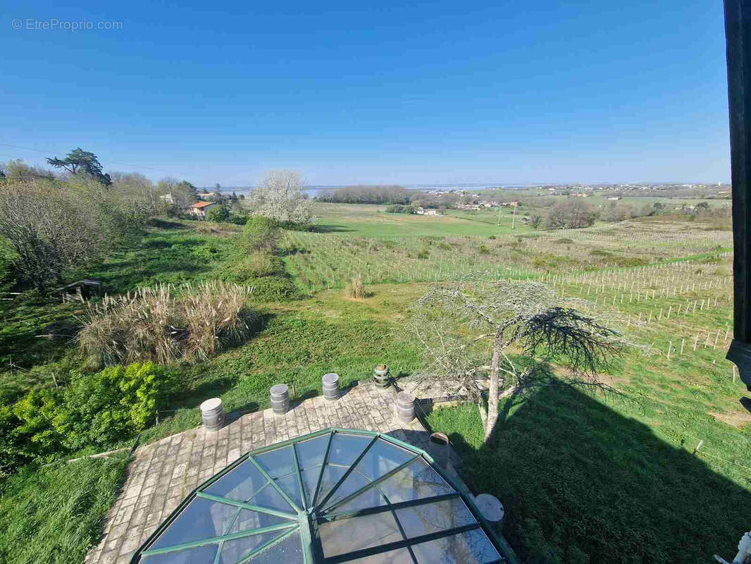 Château et dépendances avec belle vue sur l'estuaire de la Gironde - photo 3