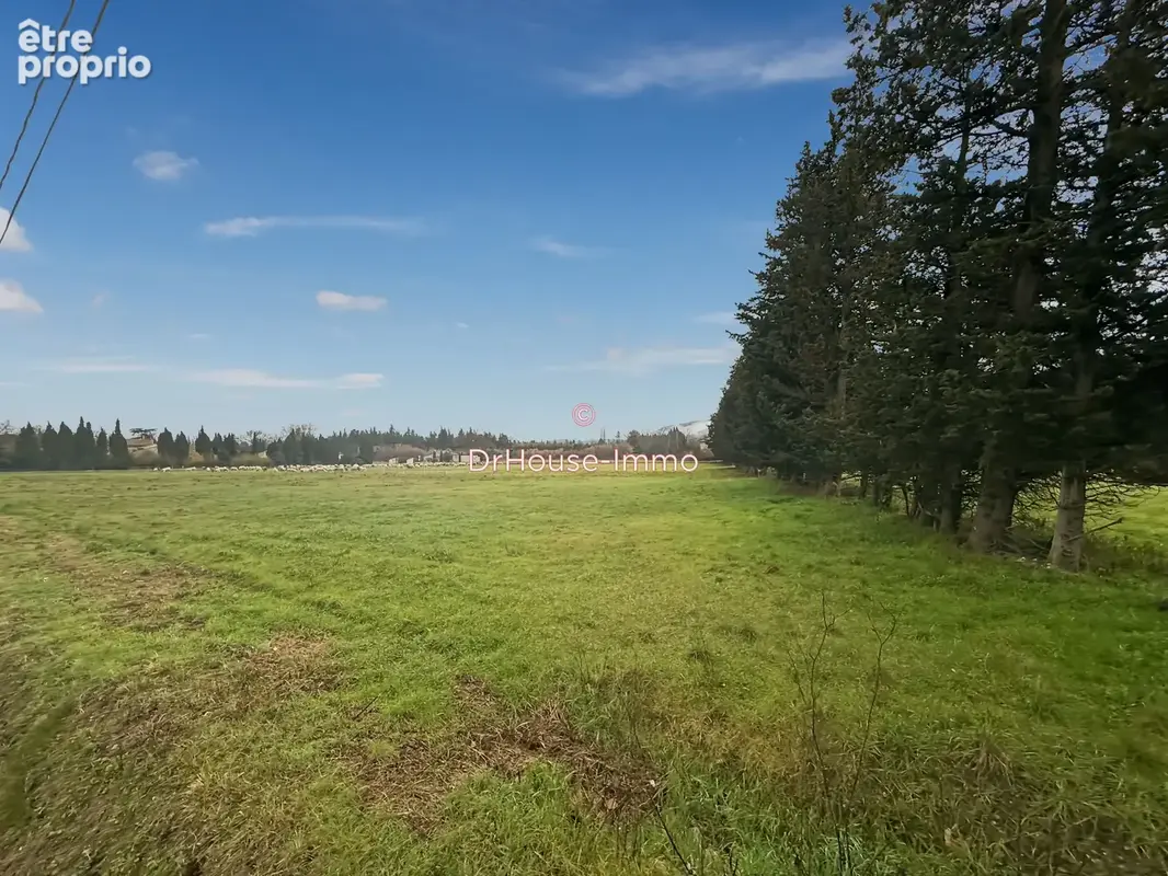 Terrain 18 000 m² à vendre à Cheval-Blanc (84460) - photo 6