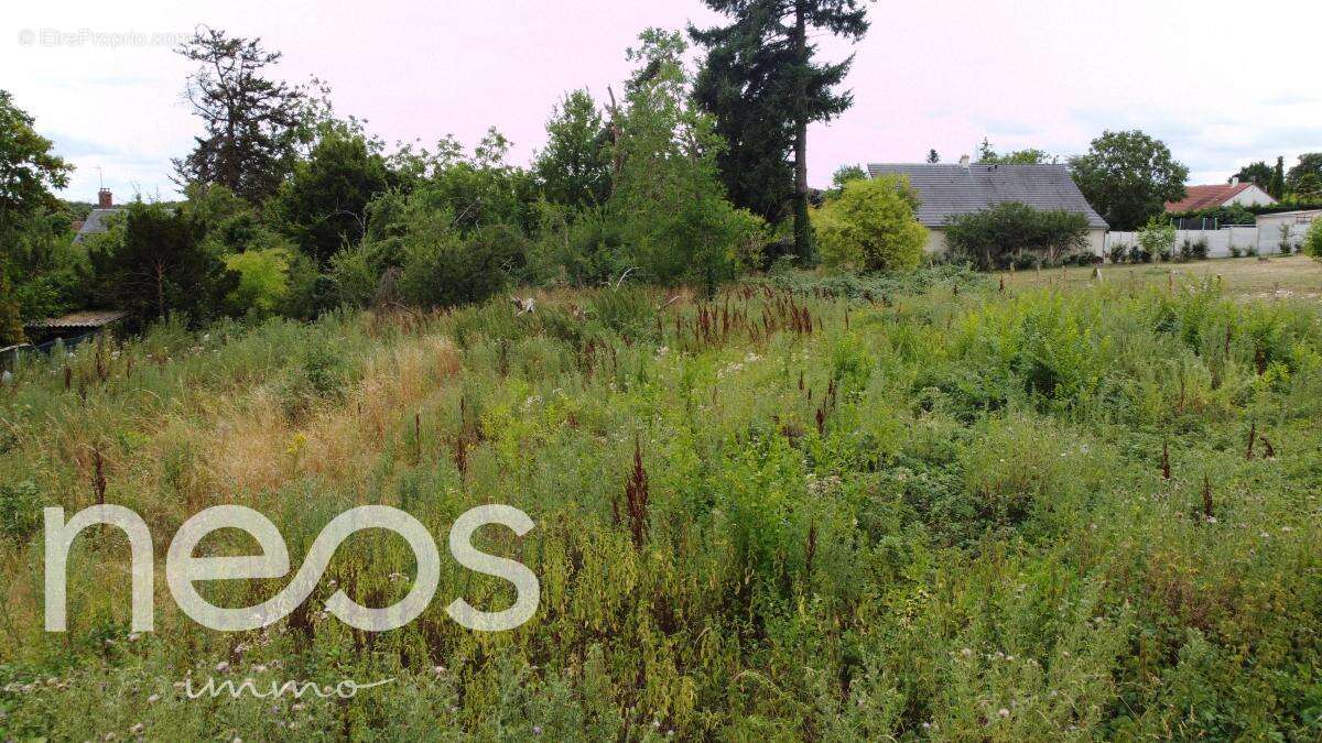 Terrain 1079 m² à Sainte-Thorette  - photo 17