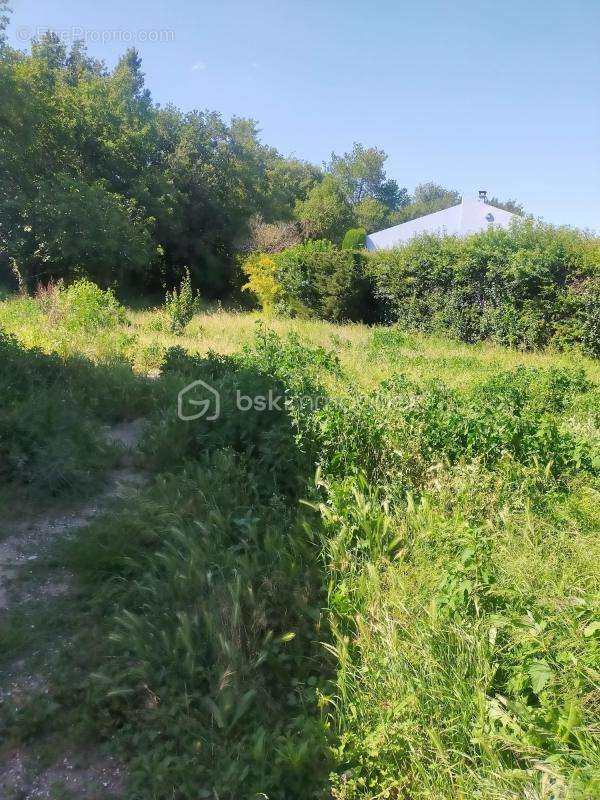 Terrain à PEZILLA-LA-RIVIERE