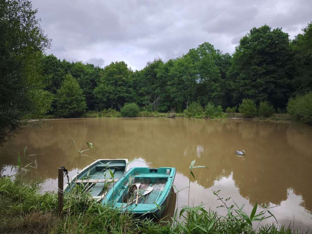 Maison à ROMORANTIN-LANTHENAY