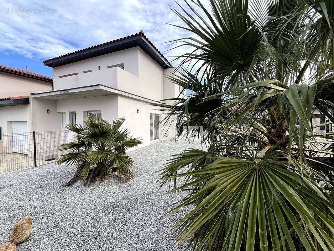 Maison à LAROQUE-DES-ALBERES