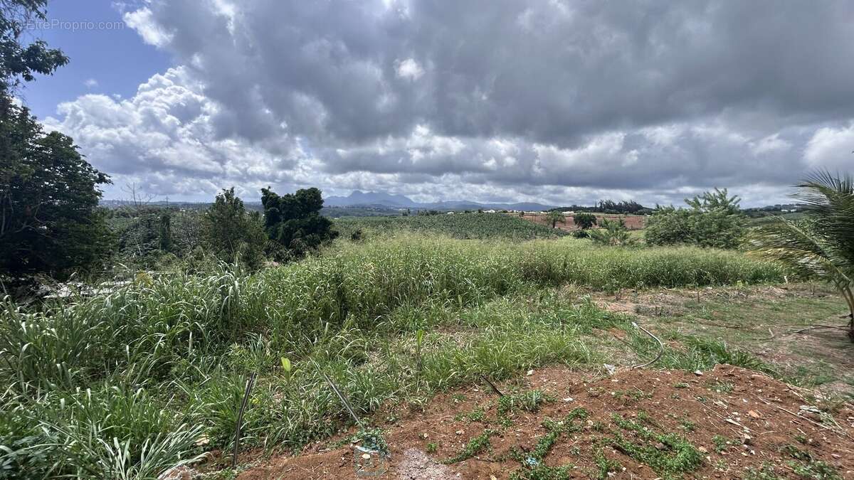 Maison à LE LAMENTIN