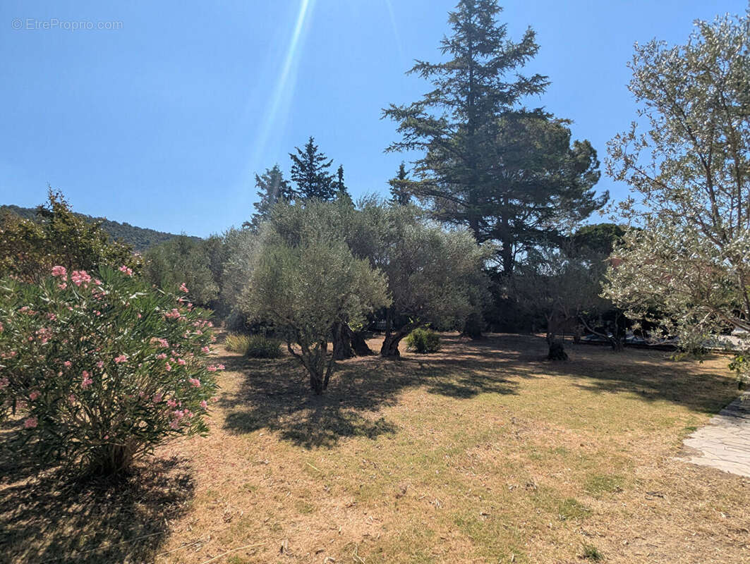 Maison à VILLECROZE