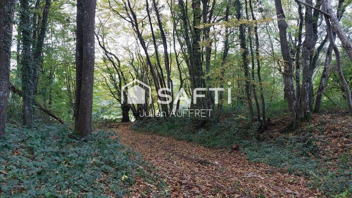 Photo 3 - Terrain à ARQUIAN