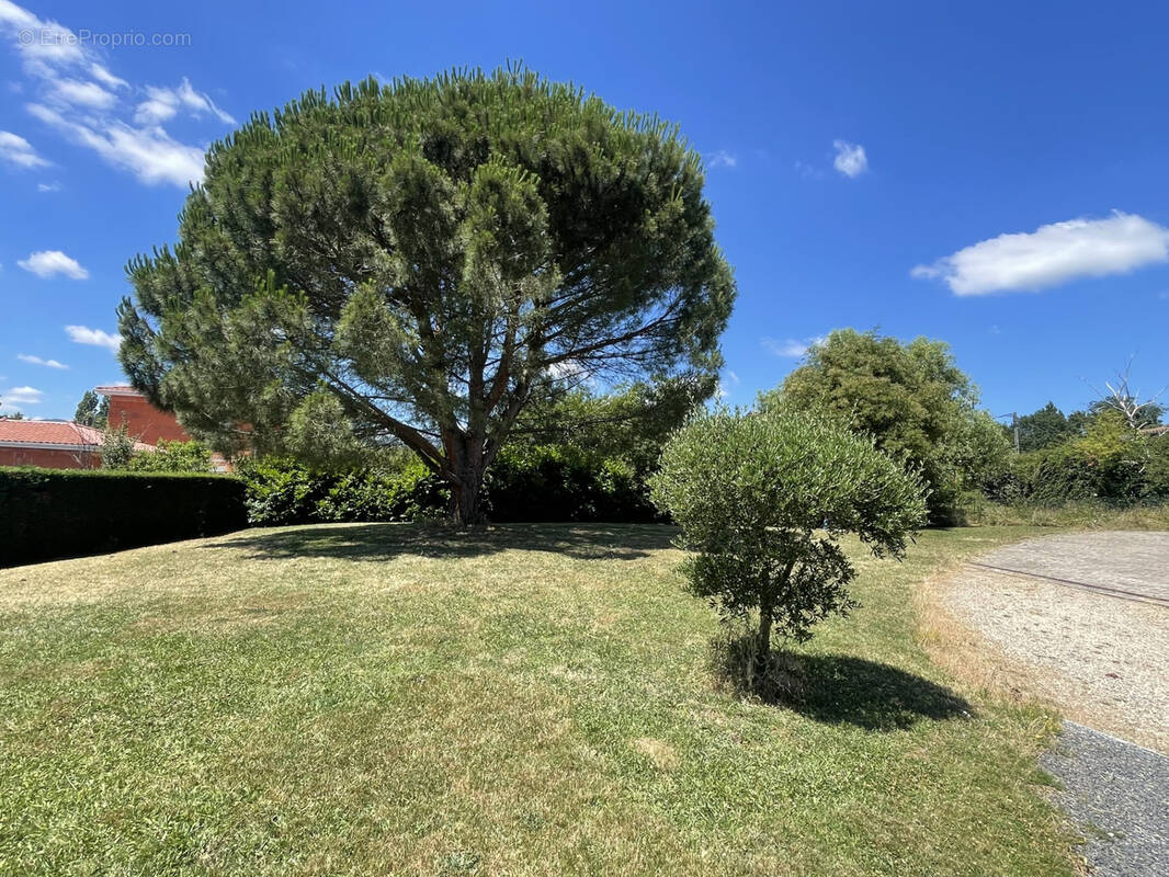 Terrain à GREZIEU-LA-VARENNE