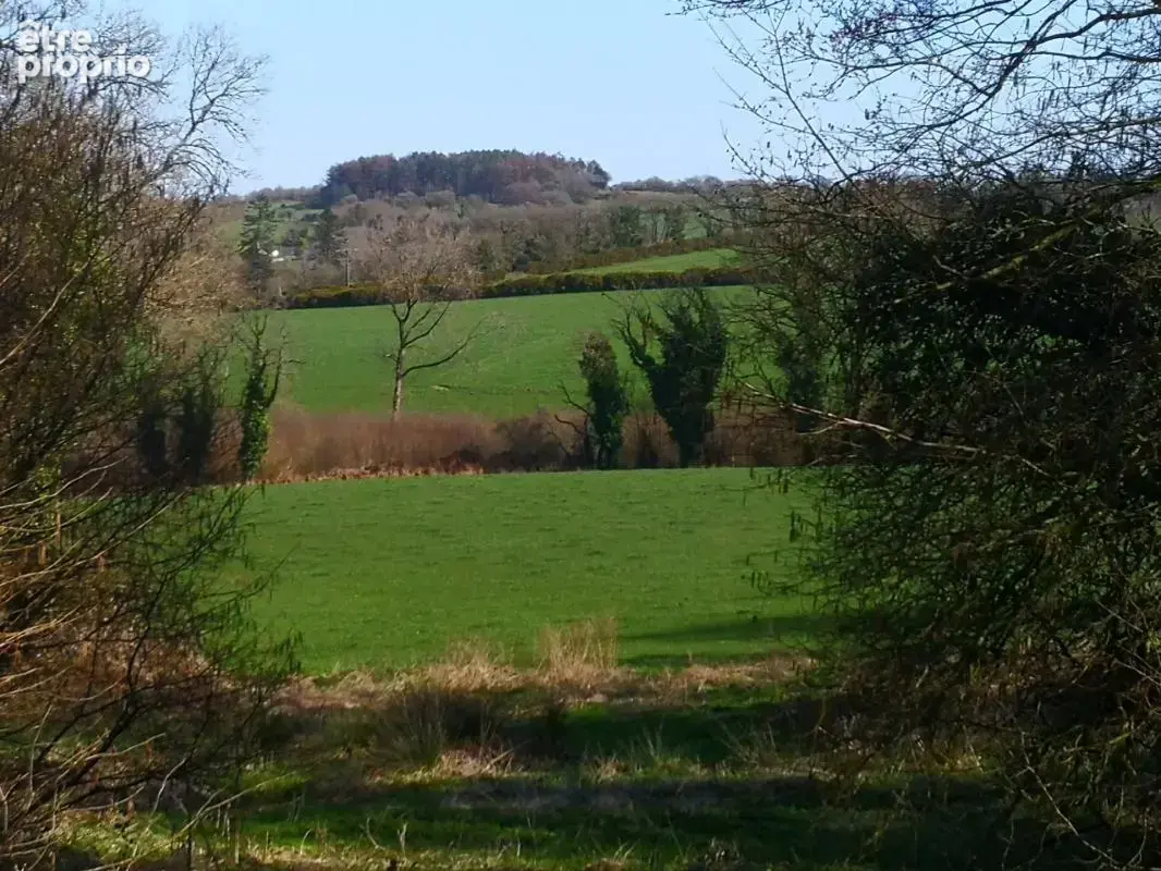 cadre bucolique pour cet authentique corps de ferme en pierre sur 10 hectares  Idéal équestre & agricole - photo 12
