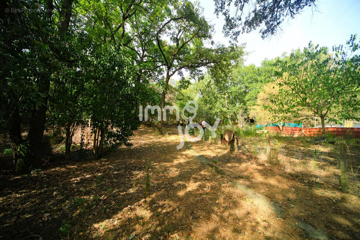 Caujac, environnement magnifique, petite maison de plain-pied au milieu de 3 hectares - photo 13