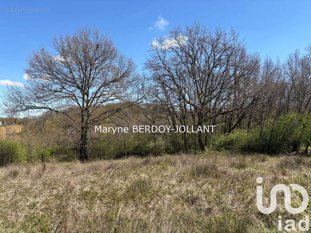 Photo 4 - Terrain à AUBIAC