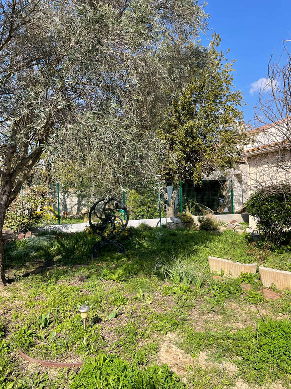 Maison à LUC-SUR-ORBIEU