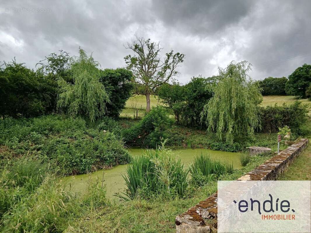 Domaine de Buissenot  Élégante propriété de 284 m² sur 14 hectares, dépendances de 1 200 m² - photo 15