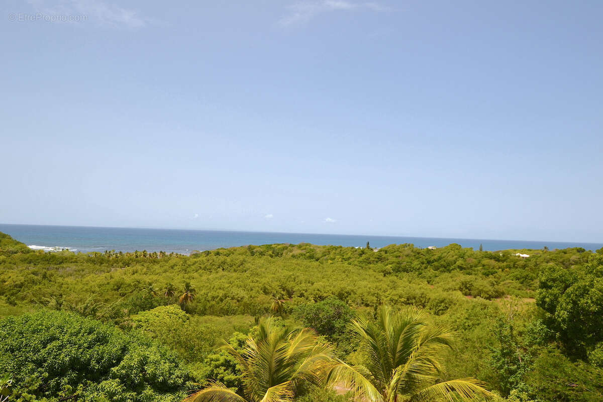 EXCLUSIVITÉ   Villa avec vue mer panoramique sur 1800 m2 de terrain. - photo 15