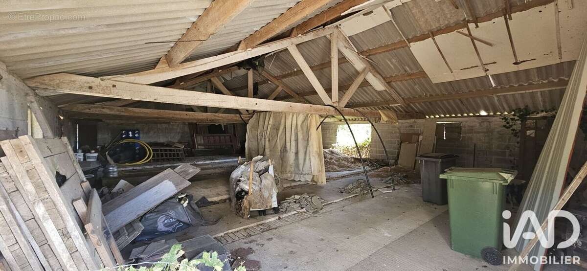 Photo 4