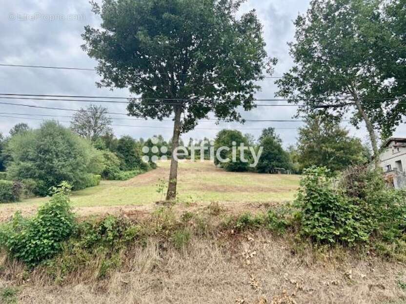 Terrain à LA MONNERIE-LE-MONTEL