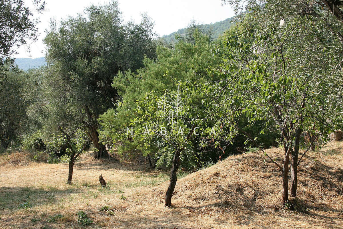 Terrain à LE BAR-SUR-LOUP