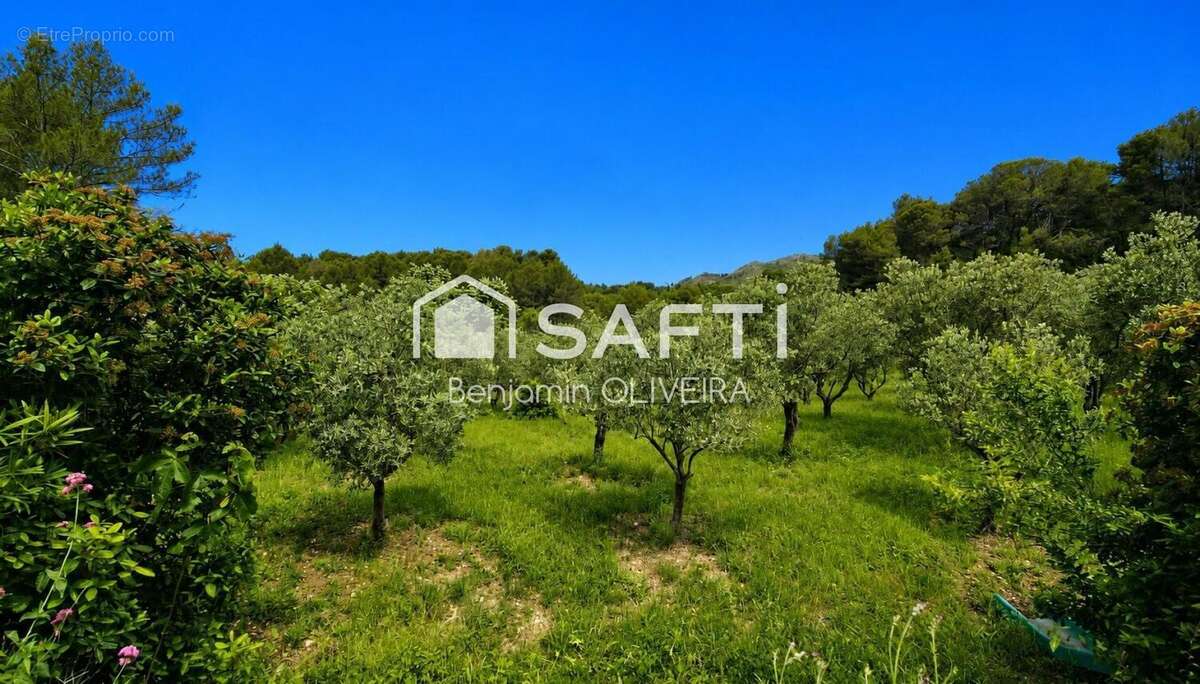Photo 9 - Maison à AURIOL