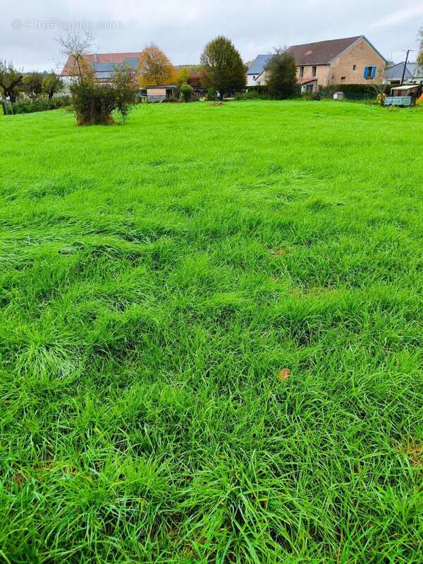 Photo 2 - Terrain à FRANCHEVELLE