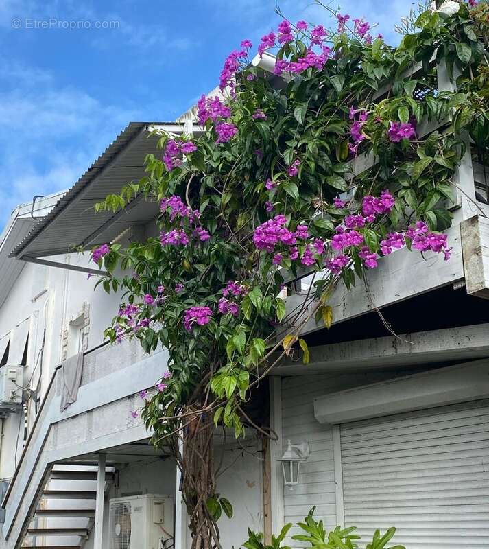 Maison à BAIE-MAHAULT