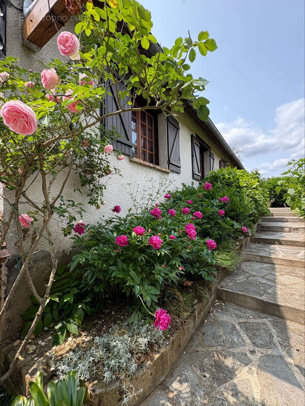 Ully Saint Georges maison de 285m2 - photo 18
