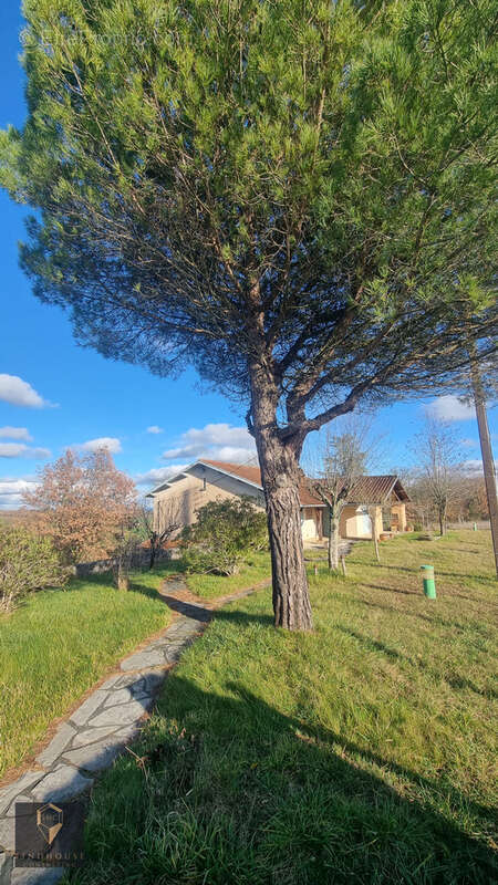 Maison à LOMBEZ