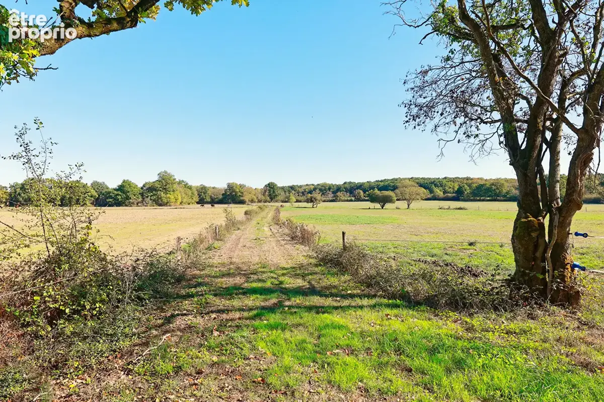 Propriété à vendre Saint Mars De Coutais - photo 24