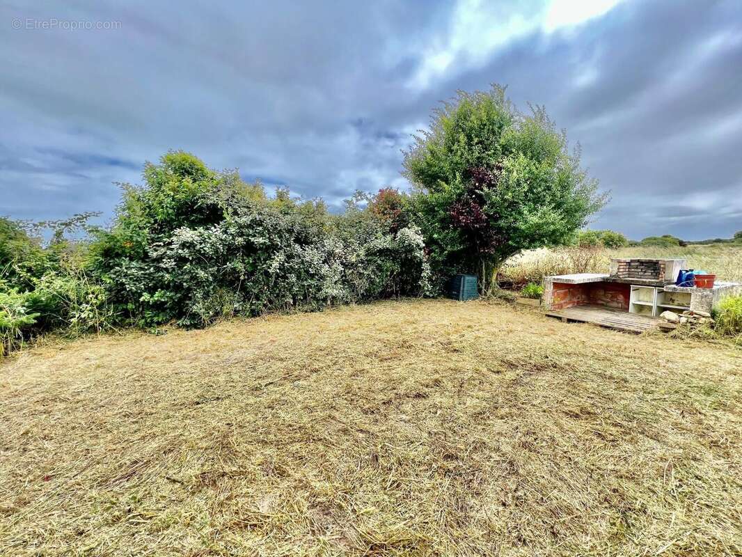 Photo 8 - Maison à SAINT-GEORGES-D&#039;OLERON