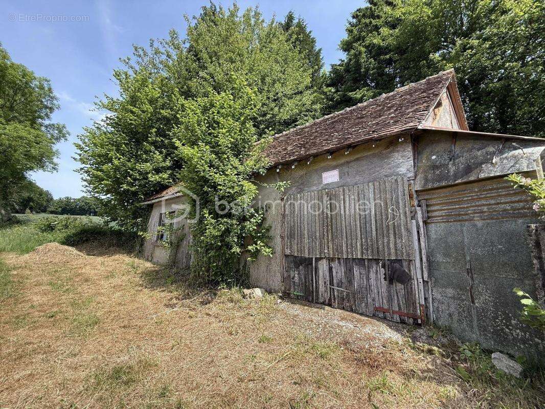 Opportunité rare à 10 minutes de La Ferté-Macé – Bâtiment à aménager + terrain arboré  - photo 3