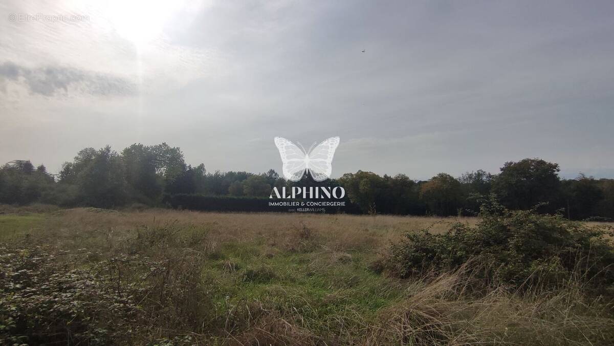 Terrain à SAINT-MARTIAL-DE-VALETTE