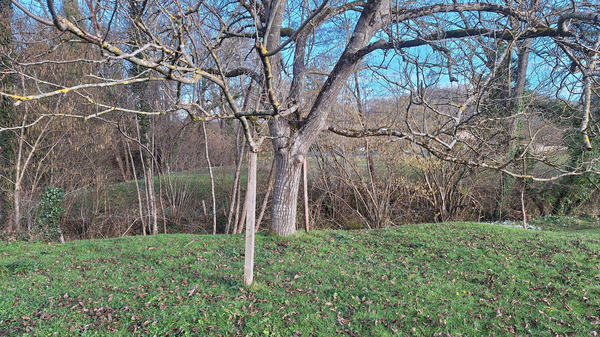 Maison à SALIES-DU-SALAT