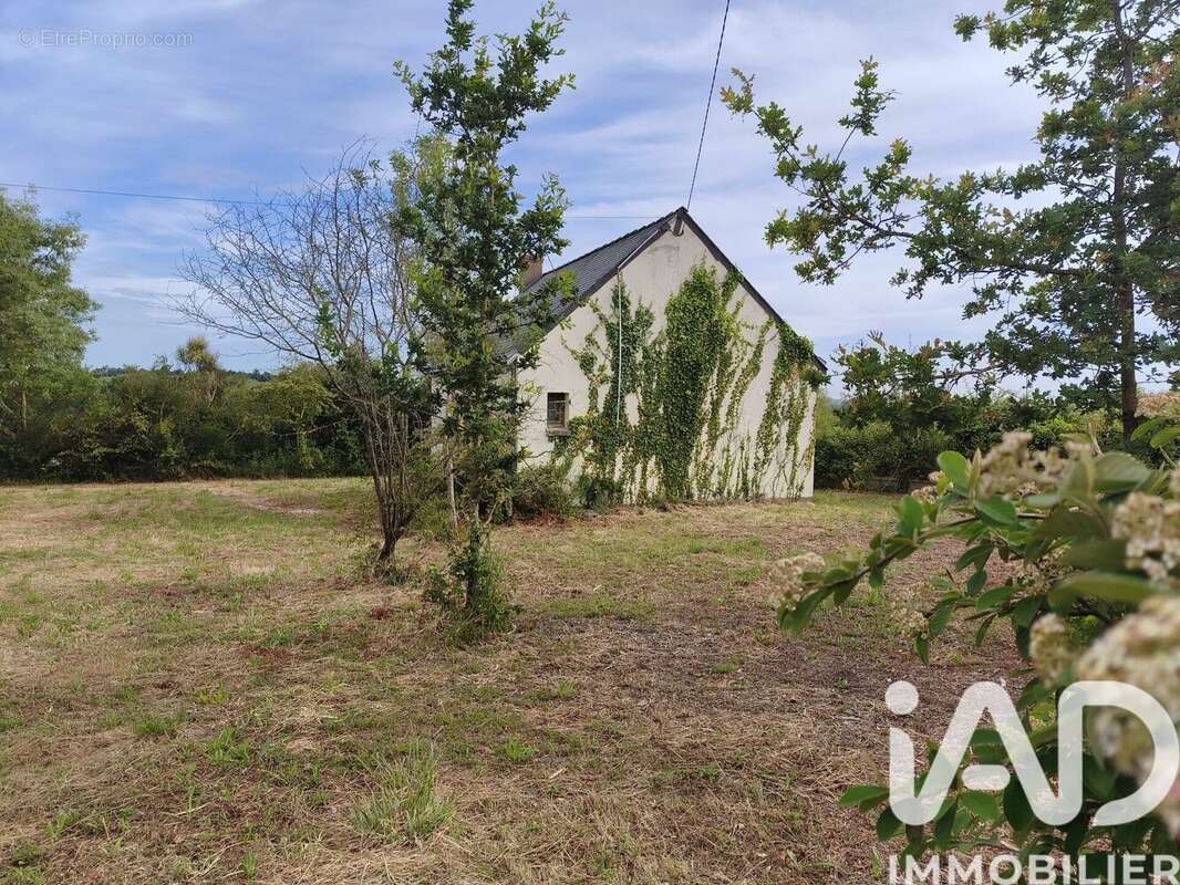 Photo 5 - Maison à MONTJEAN-SUR-LOIRE