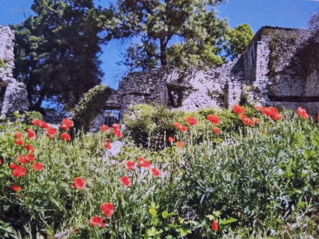 Propriété avec terrain - photo 6