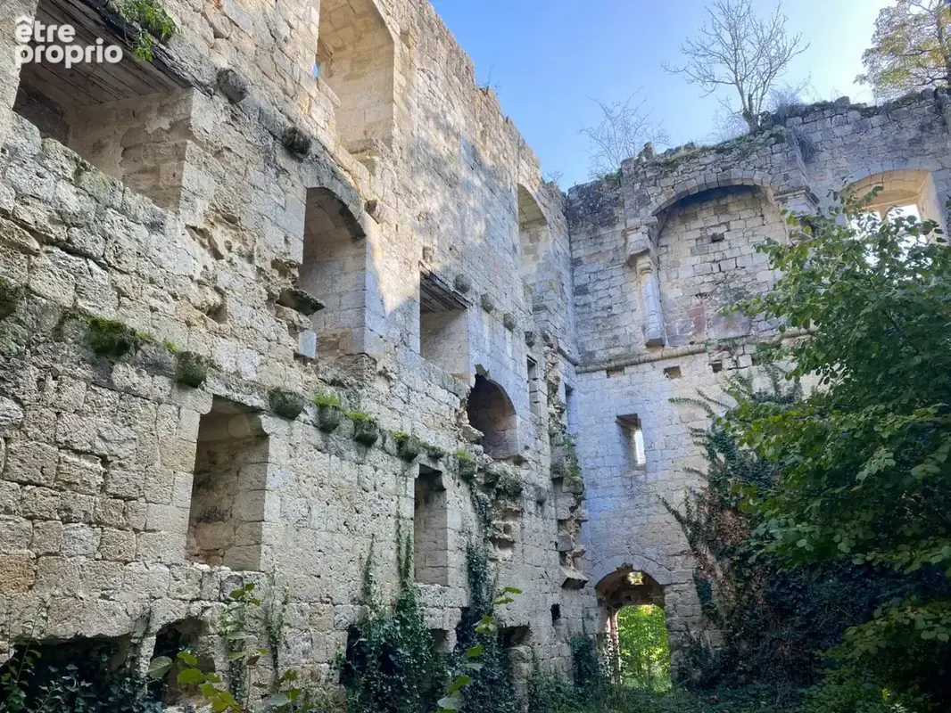 Magnifique domaine comprenant : le manoir (« le château ») vestiges d'un château médiéval, une folie, 2 maisons d'amis, la maiso - photo 22