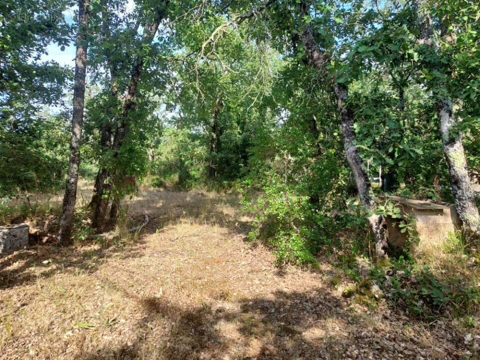 Terrain 1100 m² à Neoules  - photo 3
