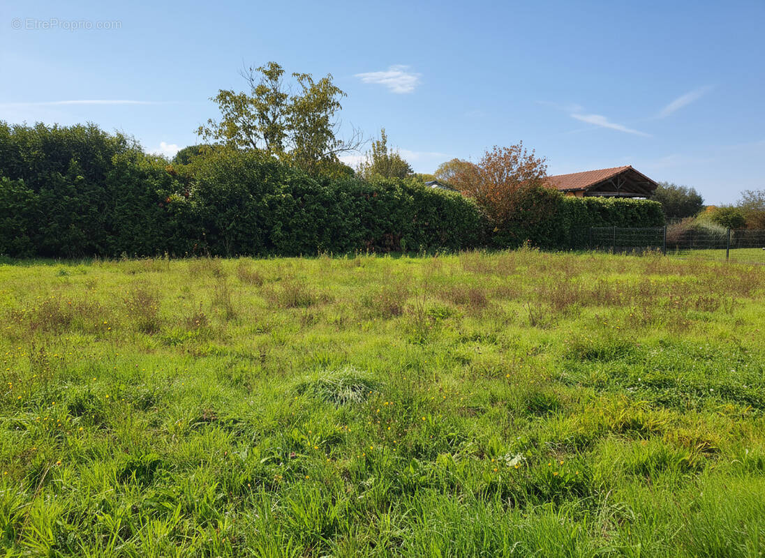 1 - Terrain à MENVILLE