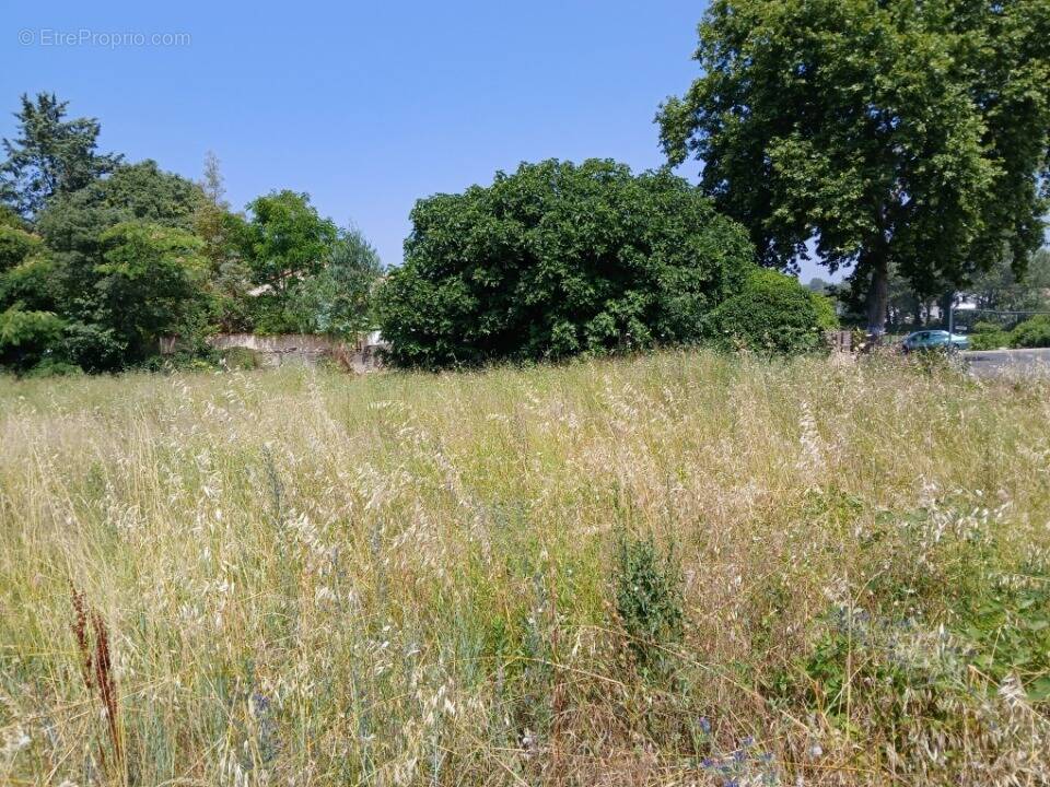 Photo Terrain à Saint-Genies-Des-Mourgues au prix de 270 000€