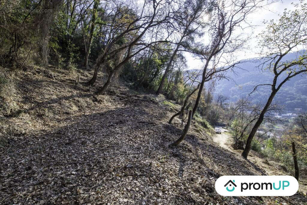 Terrain à GORBIO