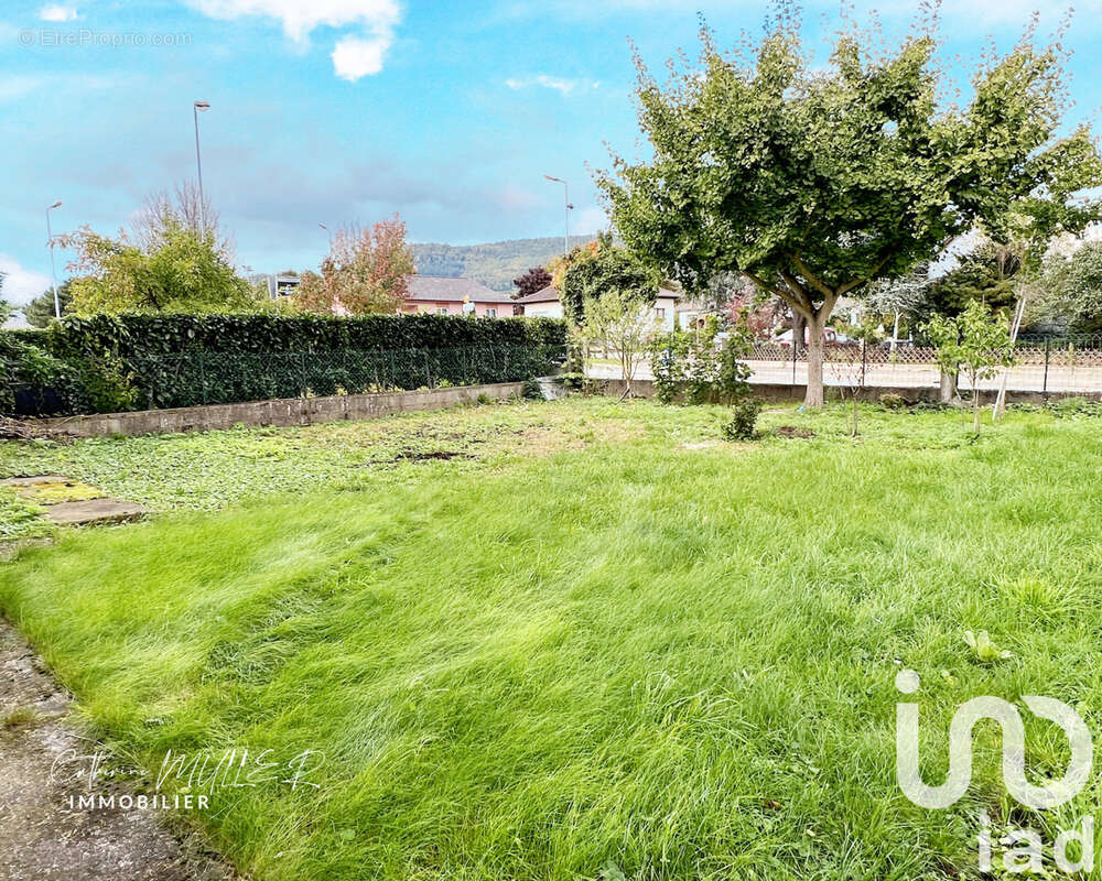 Photo 2 - Maison à ISSENHEIM