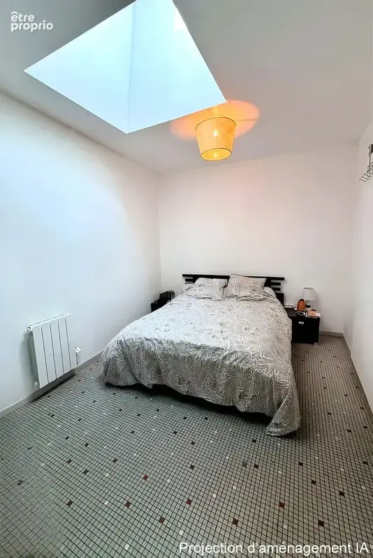 Locatifs à Champagné Les Marais - photo 4