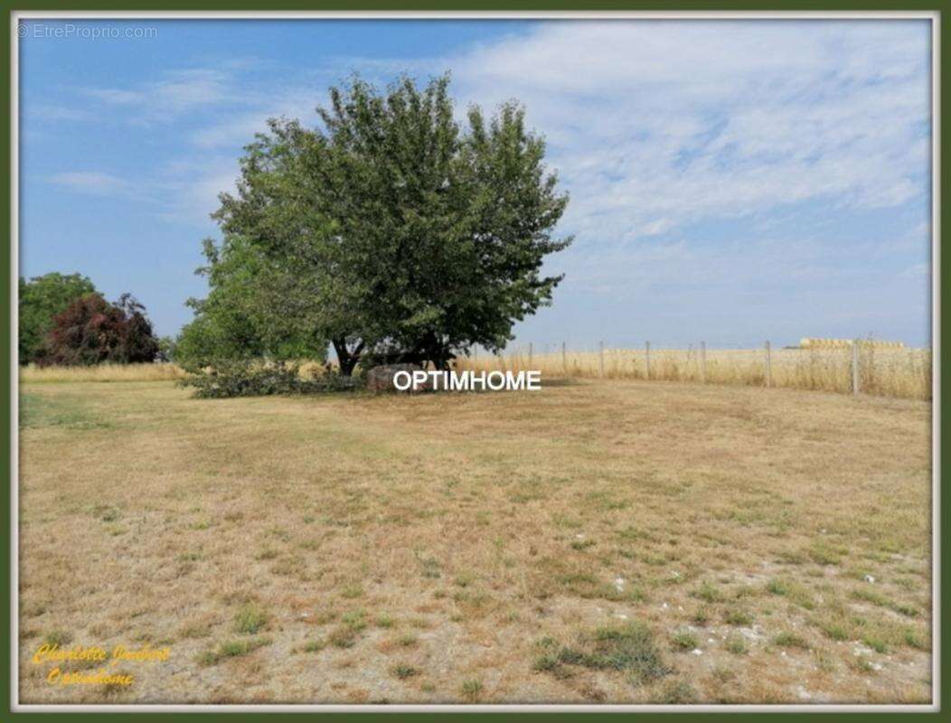 Terrain 2528 m² à Chalais  - photo 3