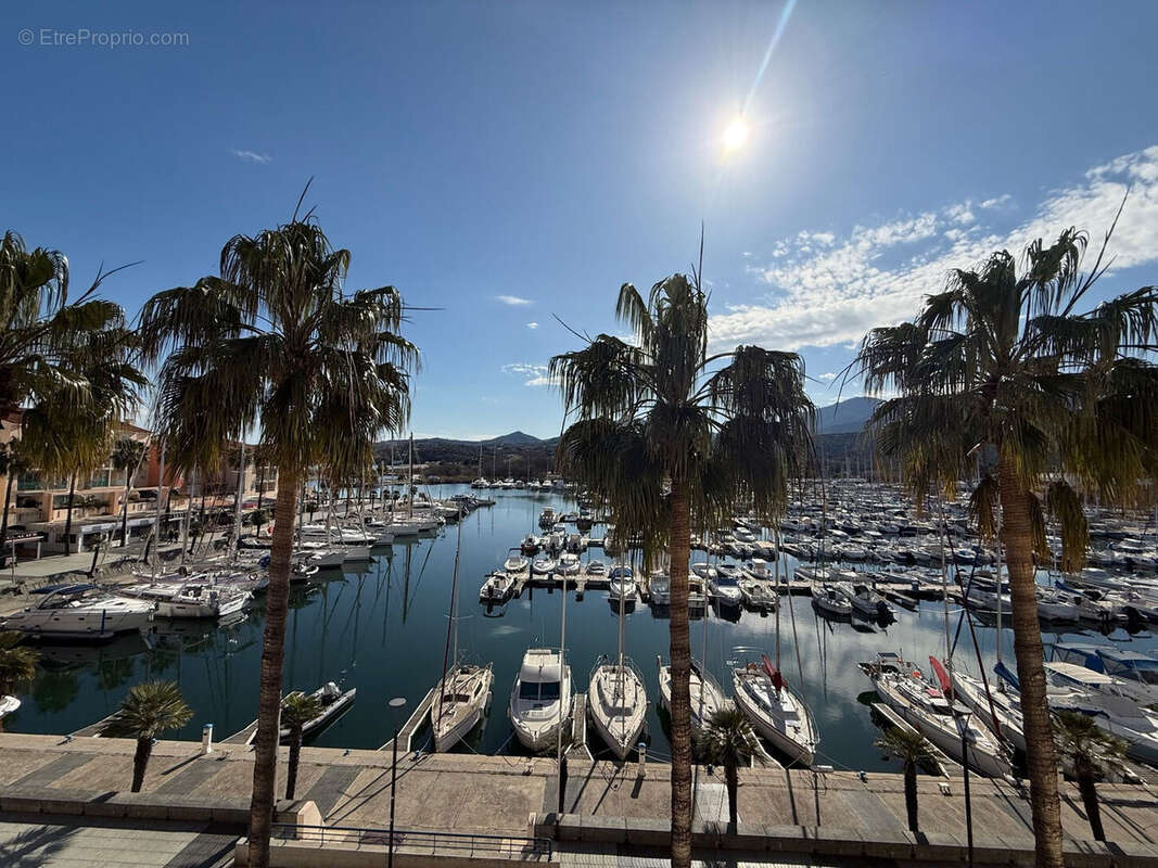 Photo 9 - Appartement à ARGELES-SUR-MER