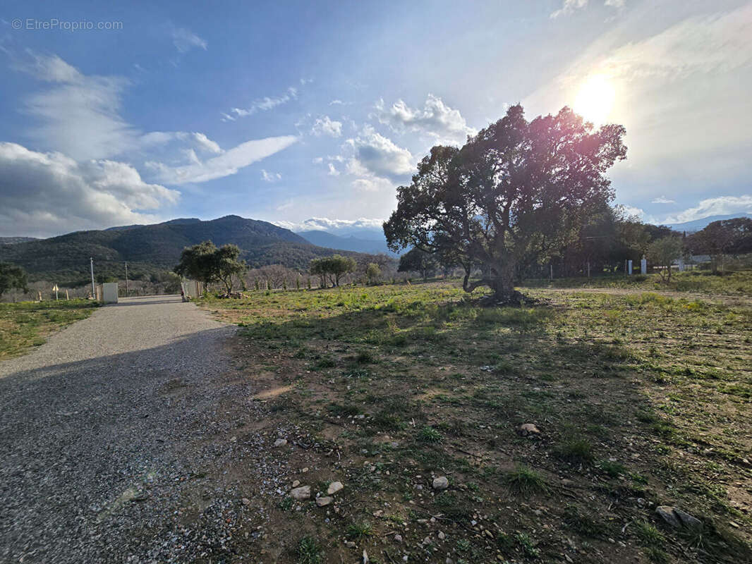 Terrain Argeles Sur Mer 44784 m2 - photo 11
