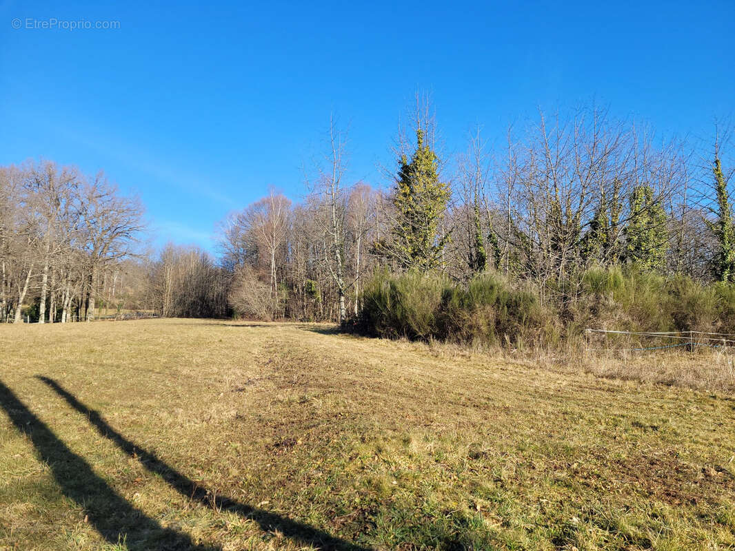 Terrain à SAINTE-FORTUNADE