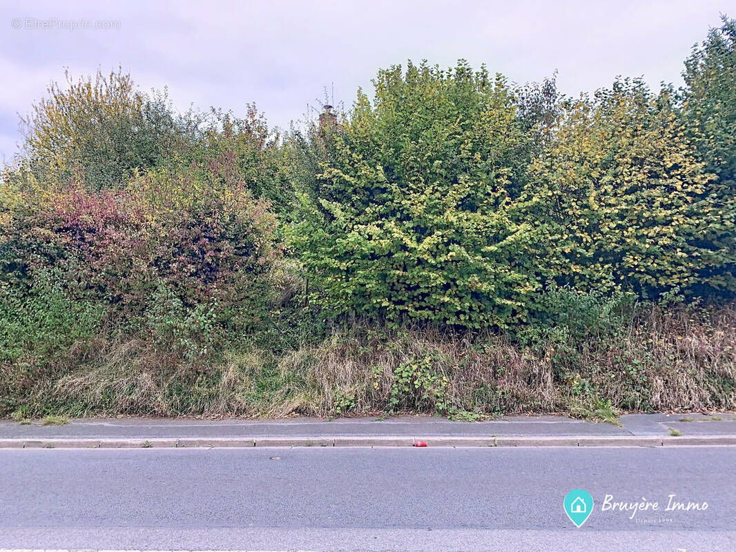 Terrain à FERRIERE-LA-GRANDE