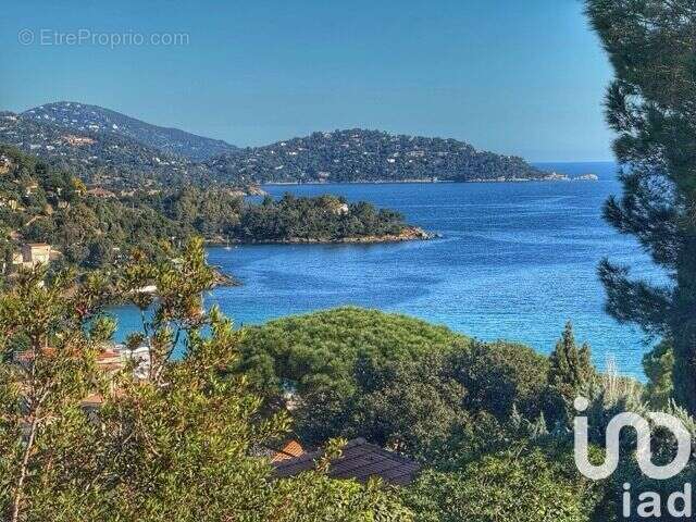 Photo 6 - Terrain à LE LAVANDOU